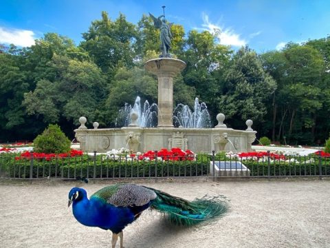 campo-grande-1
